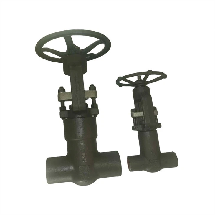 4500LB Rooj Vag Valve