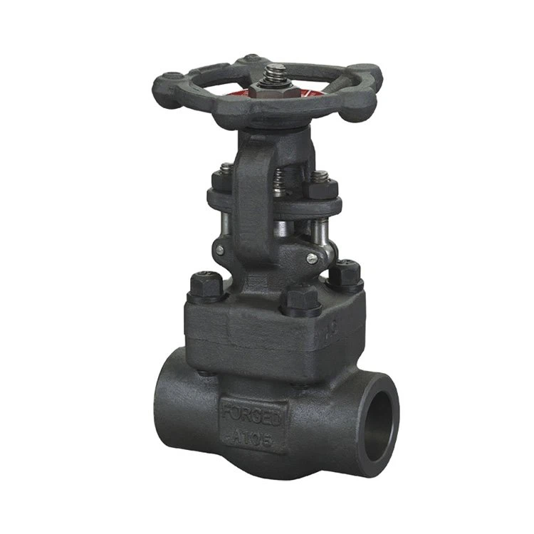 API602 Forged Rooj Vag Valve