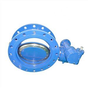 Ob Chav Eccentric Npauj Npaim Valve
