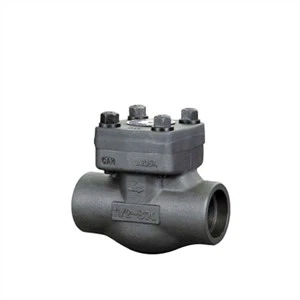Forged Hlau Kos Valve